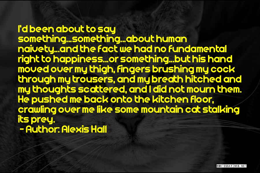 Alexis Hall Quotes: I'd Been About To Say Something...something...about Human Naivety...and The Fact We Had No Fundamental Right To Happiness...or Something...but His Hand