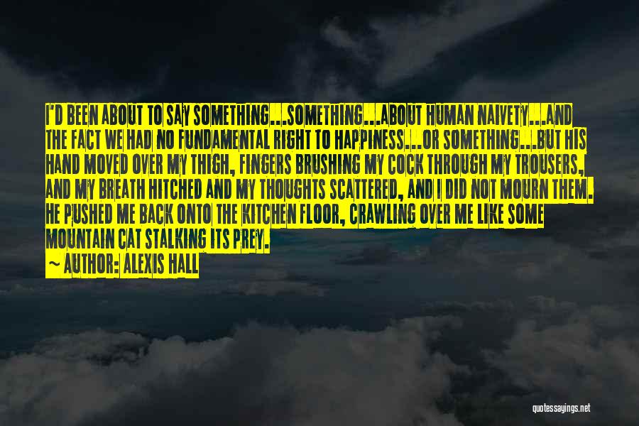 Alexis Hall Quotes: I'd Been About To Say Something...something...about Human Naivety...and The Fact We Had No Fundamental Right To Happiness...or Something...but His Hand