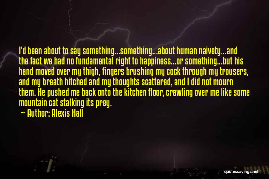 Alexis Hall Quotes: I'd Been About To Say Something...something...about Human Naivety...and The Fact We Had No Fundamental Right To Happiness...or Something...but His Hand