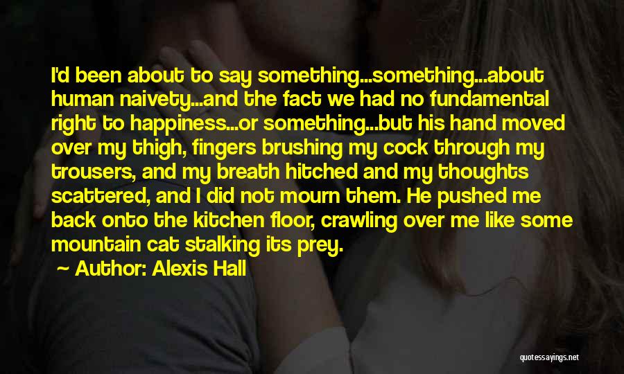 Alexis Hall Quotes: I'd Been About To Say Something...something...about Human Naivety...and The Fact We Had No Fundamental Right To Happiness...or Something...but His Hand