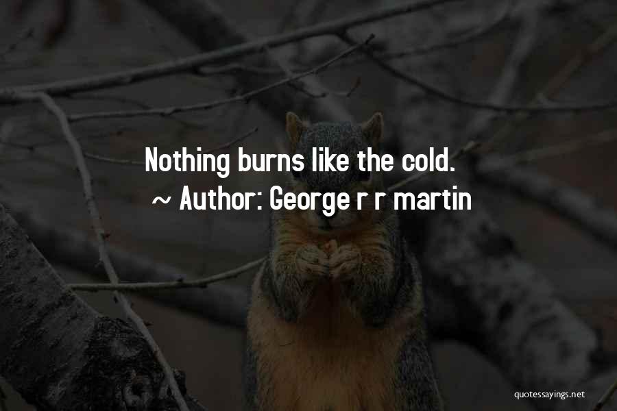 George R R Martin Quotes: Nothing Burns Like The Cold.