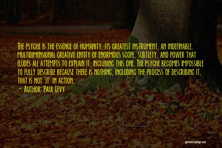 Paul Levy Quotes: The Psyche Is The Essence Of Humanity, Its Greatest Instrument, An Indefinable, Multidimensional Creative Entity Of Enormous Scope, Subtlety, And