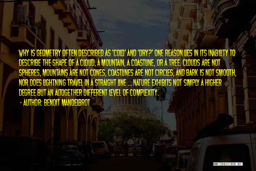 Benoit Mandelbrot Quotes: Why Is Geometry Often Described As 'cold' And 'dry?' One Reason Lies In Its Inability To Describe The Shape Of