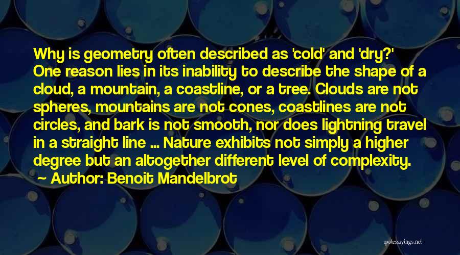 Benoit Mandelbrot Quotes: Why Is Geometry Often Described As 'cold' And 'dry?' One Reason Lies In Its Inability To Describe The Shape Of