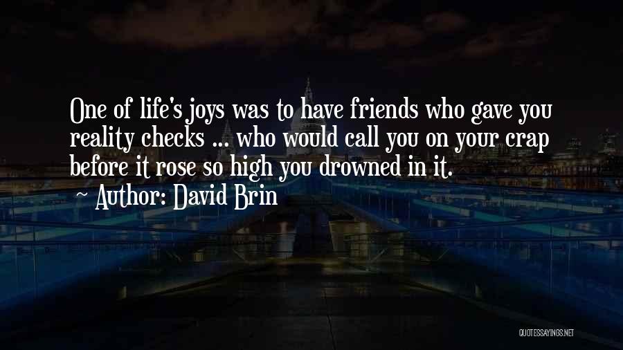 David Brin Quotes: One Of Life's Joys Was To Have Friends Who Gave You Reality Checks ... Who Would Call You On Your