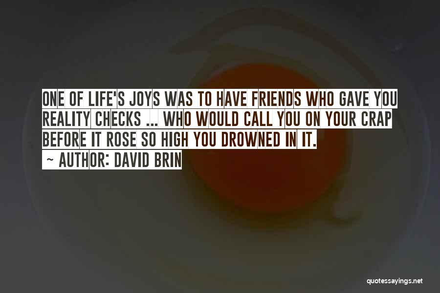 David Brin Quotes: One Of Life's Joys Was To Have Friends Who Gave You Reality Checks ... Who Would Call You On Your