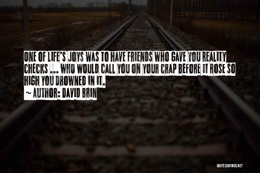 David Brin Quotes: One Of Life's Joys Was To Have Friends Who Gave You Reality Checks ... Who Would Call You On Your