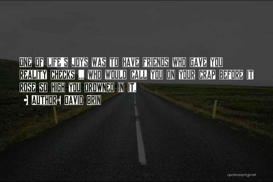 David Brin Quotes: One Of Life's Joys Was To Have Friends Who Gave You Reality Checks ... Who Would Call You On Your