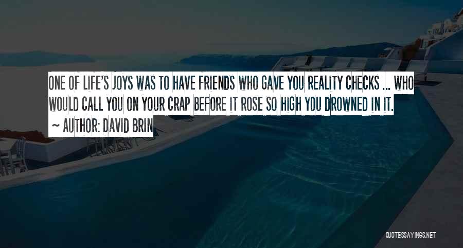 David Brin Quotes: One Of Life's Joys Was To Have Friends Who Gave You Reality Checks ... Who Would Call You On Your