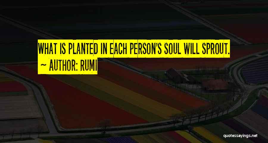 Rumi Quotes: What Is Planted In Each Person's Soul Will Sprout.