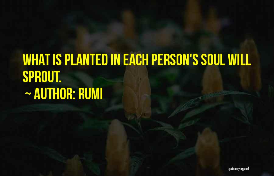 Rumi Quotes: What Is Planted In Each Person's Soul Will Sprout.