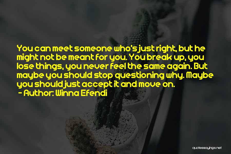 Winna Efendi Quotes: You Can Meet Someone Who's Just Right, But He Might Not Be Meant For You. You Break Up, You Lose