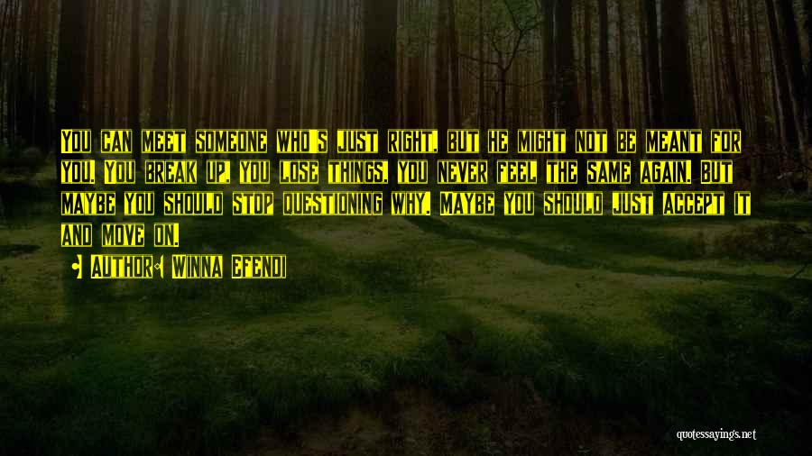 Winna Efendi Quotes: You Can Meet Someone Who's Just Right, But He Might Not Be Meant For You. You Break Up, You Lose