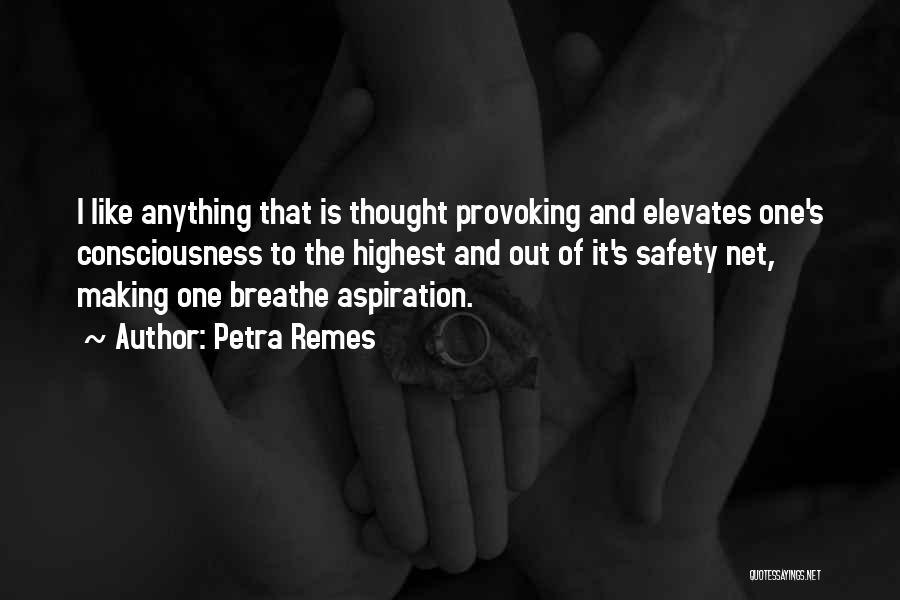 Petra Remes Quotes: I Like Anything That Is Thought Provoking And Elevates One's Consciousness To The Highest And Out Of It's Safety Net,