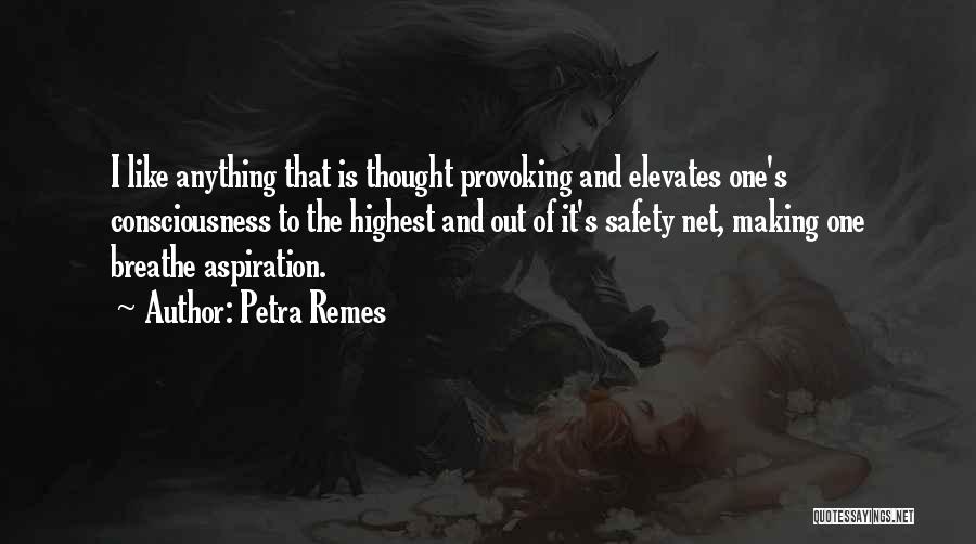 Petra Remes Quotes: I Like Anything That Is Thought Provoking And Elevates One's Consciousness To The Highest And Out Of It's Safety Net,