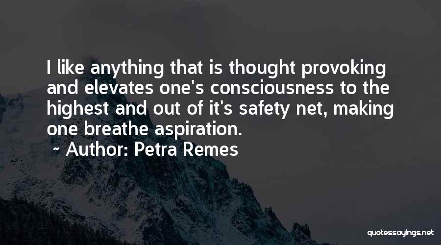 Petra Remes Quotes: I Like Anything That Is Thought Provoking And Elevates One's Consciousness To The Highest And Out Of It's Safety Net,