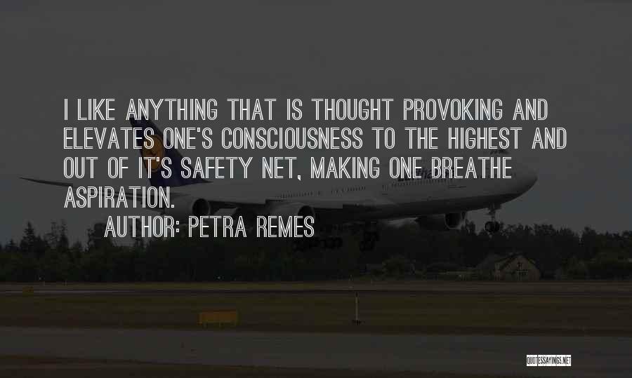 Petra Remes Quotes: I Like Anything That Is Thought Provoking And Elevates One's Consciousness To The Highest And Out Of It's Safety Net,