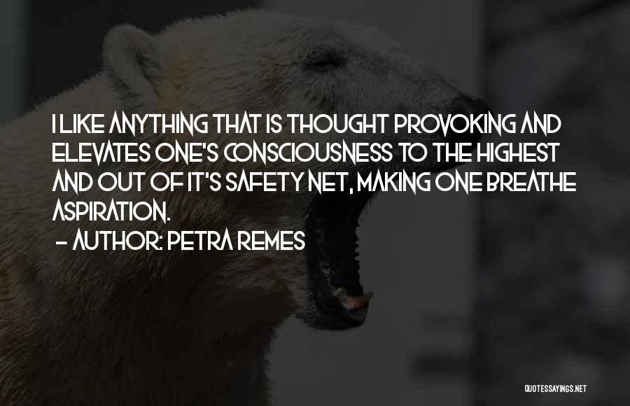 Petra Remes Quotes: I Like Anything That Is Thought Provoking And Elevates One's Consciousness To The Highest And Out Of It's Safety Net,