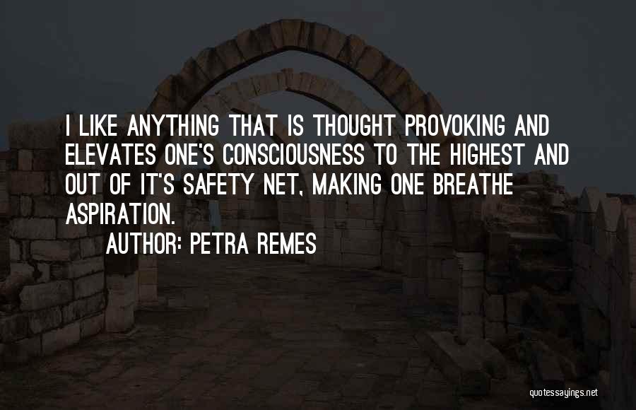 Petra Remes Quotes: I Like Anything That Is Thought Provoking And Elevates One's Consciousness To The Highest And Out Of It's Safety Net,