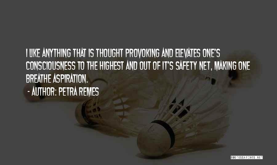 Petra Remes Quotes: I Like Anything That Is Thought Provoking And Elevates One's Consciousness To The Highest And Out Of It's Safety Net,