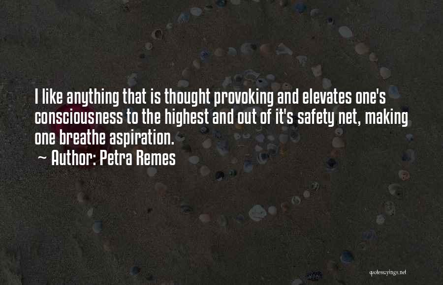 Petra Remes Quotes: I Like Anything That Is Thought Provoking And Elevates One's Consciousness To The Highest And Out Of It's Safety Net,