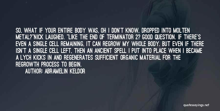 Abramelin Keldor Quotes: So, What If Your Entire Body Was, Oh I Don't Know, Dropped Into Molten Metal?nick Laughed. Like The End Of