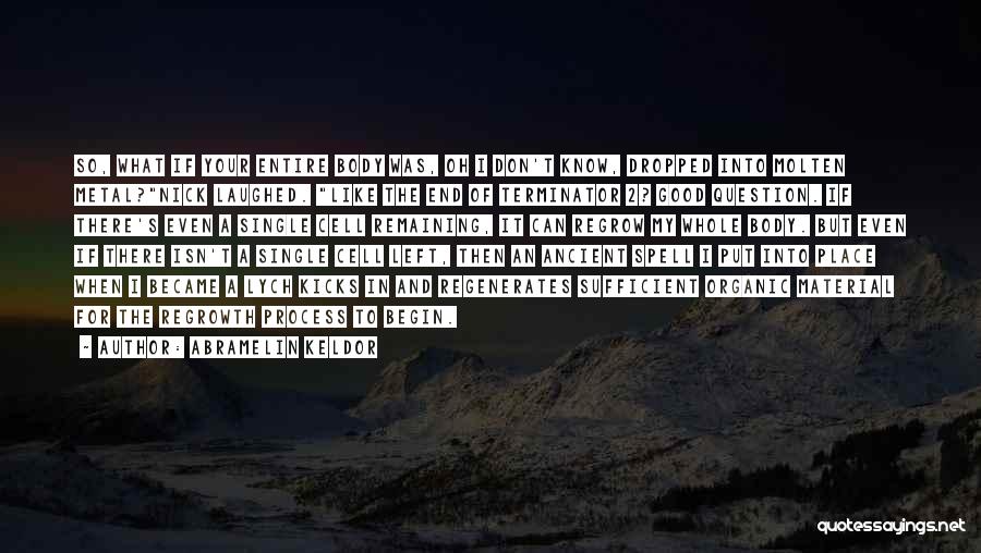 Abramelin Keldor Quotes: So, What If Your Entire Body Was, Oh I Don't Know, Dropped Into Molten Metal?nick Laughed. Like The End Of