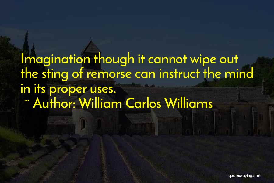 William Carlos Williams Quotes: Imagination Though It Cannot Wipe Out The Sting Of Remorse Can Instruct The Mind In Its Proper Uses.