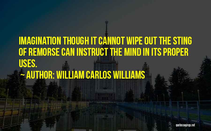 William Carlos Williams Quotes: Imagination Though It Cannot Wipe Out The Sting Of Remorse Can Instruct The Mind In Its Proper Uses.
