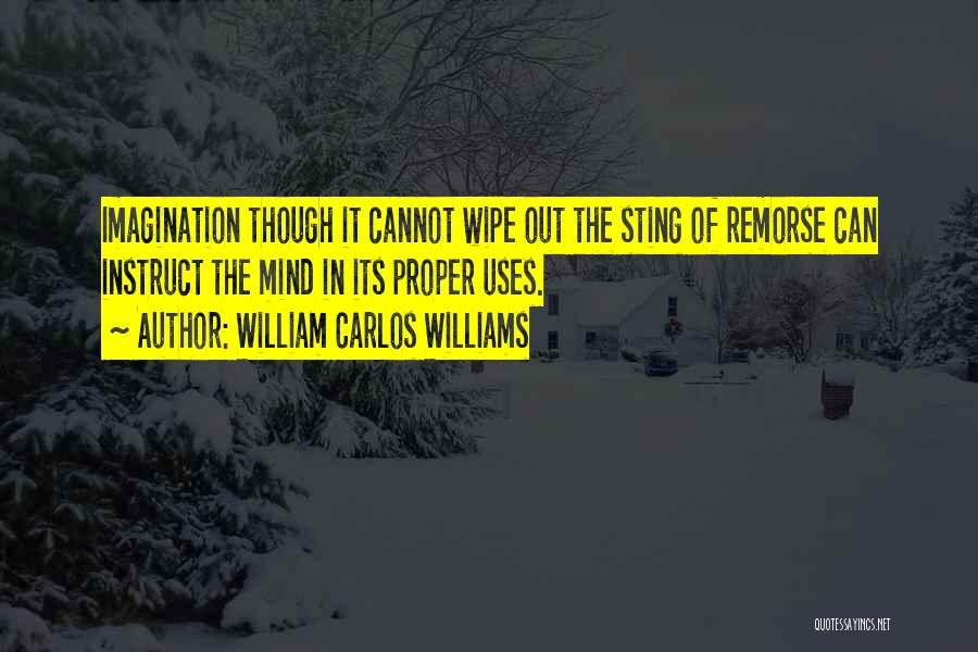 William Carlos Williams Quotes: Imagination Though It Cannot Wipe Out The Sting Of Remorse Can Instruct The Mind In Its Proper Uses.