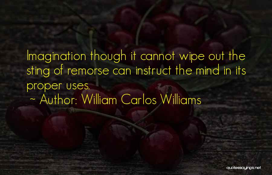 William Carlos Williams Quotes: Imagination Though It Cannot Wipe Out The Sting Of Remorse Can Instruct The Mind In Its Proper Uses.