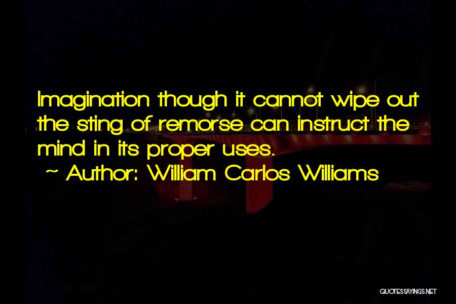 William Carlos Williams Quotes: Imagination Though It Cannot Wipe Out The Sting Of Remorse Can Instruct The Mind In Its Proper Uses.
