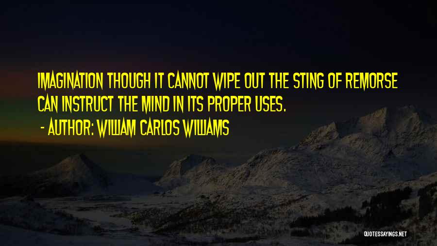William Carlos Williams Quotes: Imagination Though It Cannot Wipe Out The Sting Of Remorse Can Instruct The Mind In Its Proper Uses.