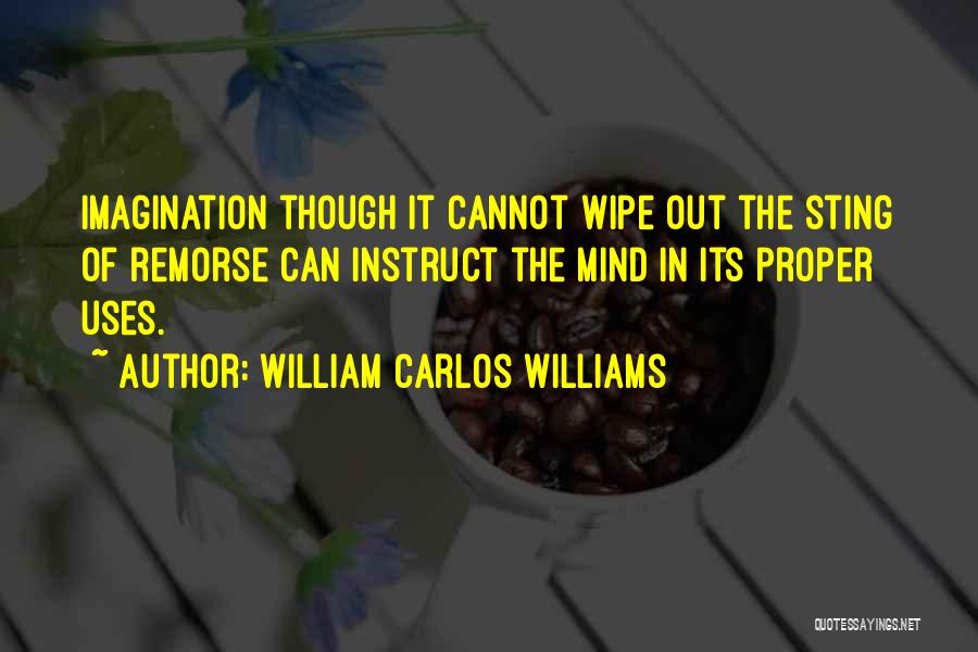 William Carlos Williams Quotes: Imagination Though It Cannot Wipe Out The Sting Of Remorse Can Instruct The Mind In Its Proper Uses.
