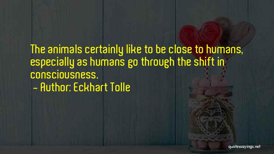 Eckhart Tolle Quotes: The Animals Certainly Like To Be Close To Humans, Especially As Humans Go Through The Shift In Consciousness.