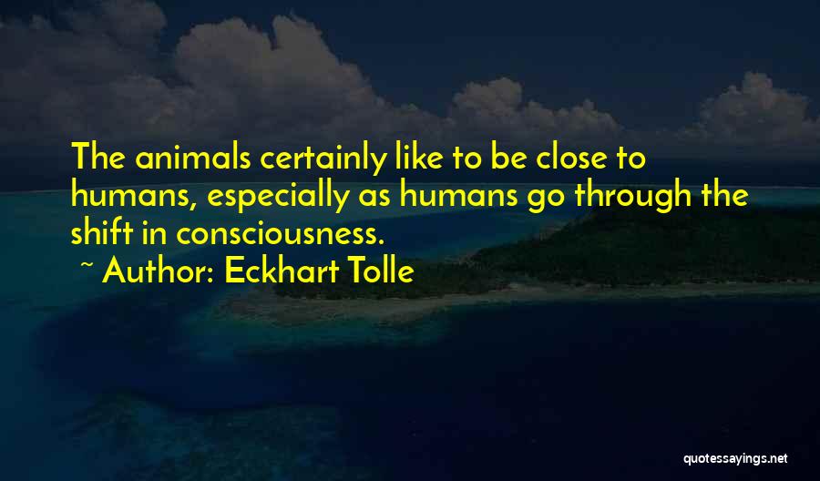 Eckhart Tolle Quotes: The Animals Certainly Like To Be Close To Humans, Especially As Humans Go Through The Shift In Consciousness.