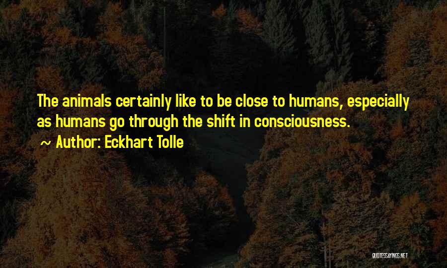 Eckhart Tolle Quotes: The Animals Certainly Like To Be Close To Humans, Especially As Humans Go Through The Shift In Consciousness.