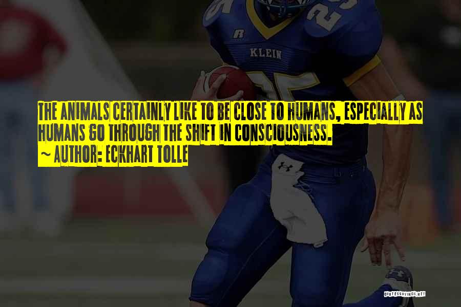 Eckhart Tolle Quotes: The Animals Certainly Like To Be Close To Humans, Especially As Humans Go Through The Shift In Consciousness.