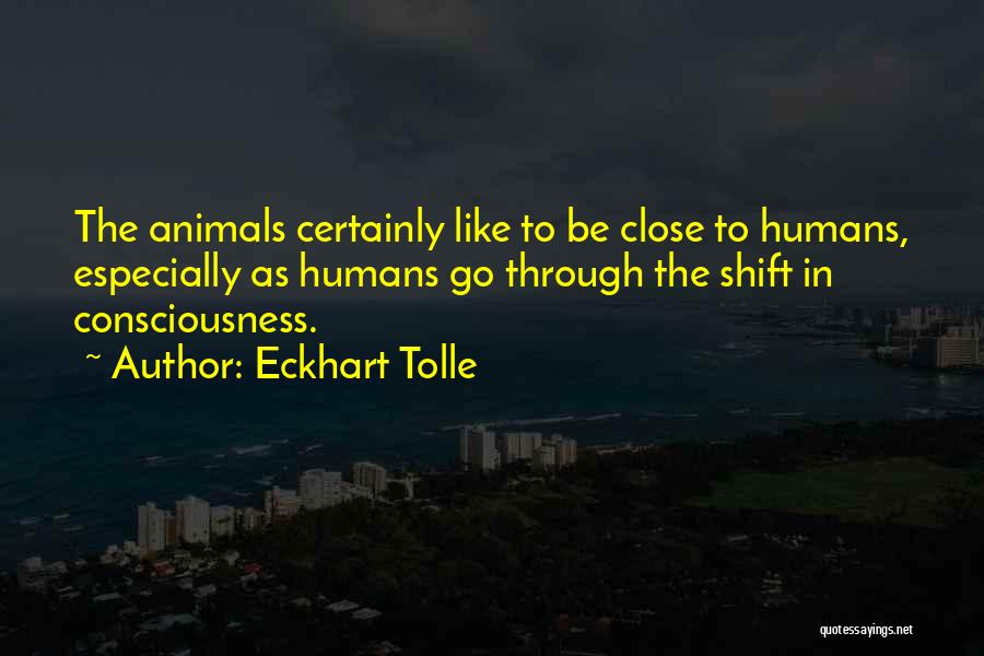 Eckhart Tolle Quotes: The Animals Certainly Like To Be Close To Humans, Especially As Humans Go Through The Shift In Consciousness.