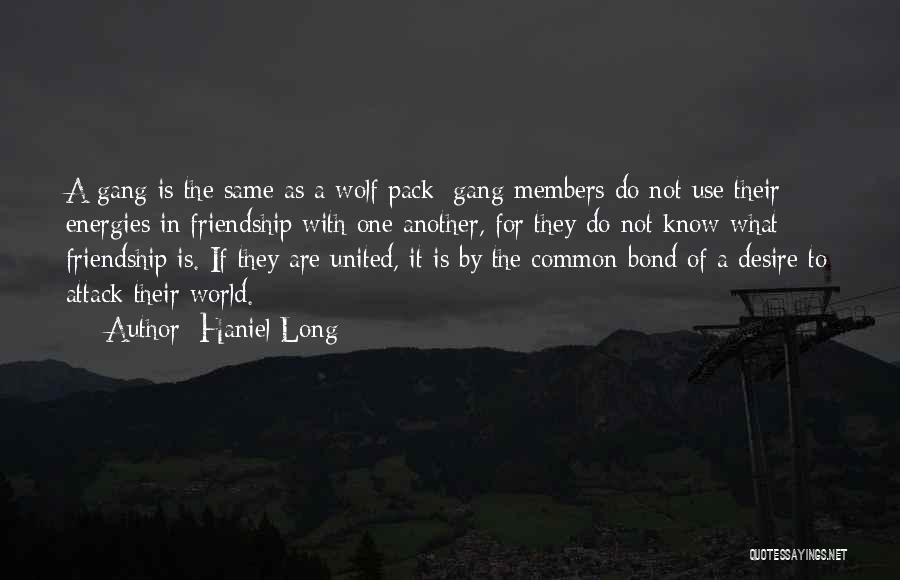 Haniel Long Quotes: A Gang Is The Same As A Wolf Pack; Gang Members Do Not Use Their Energies In Friendship With One
