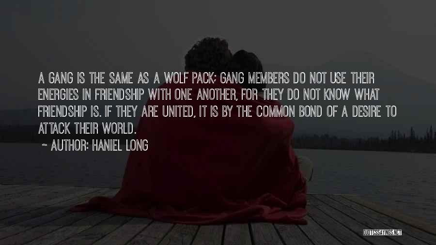 Haniel Long Quotes: A Gang Is The Same As A Wolf Pack; Gang Members Do Not Use Their Energies In Friendship With One