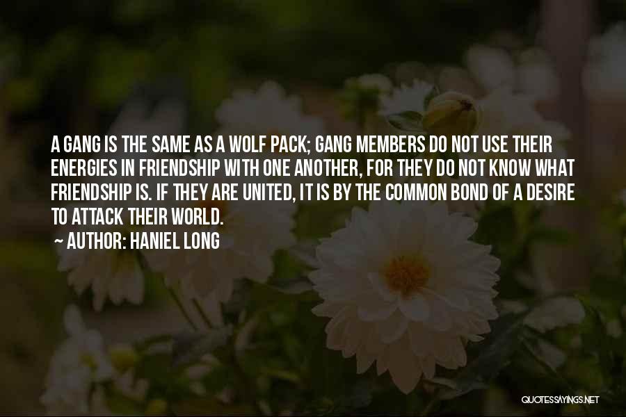 Haniel Long Quotes: A Gang Is The Same As A Wolf Pack; Gang Members Do Not Use Their Energies In Friendship With One