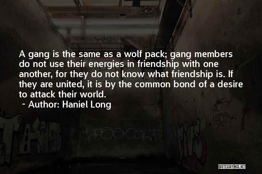 Haniel Long Quotes: A Gang Is The Same As A Wolf Pack; Gang Members Do Not Use Their Energies In Friendship With One