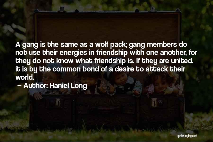 Haniel Long Quotes: A Gang Is The Same As A Wolf Pack; Gang Members Do Not Use Their Energies In Friendship With One