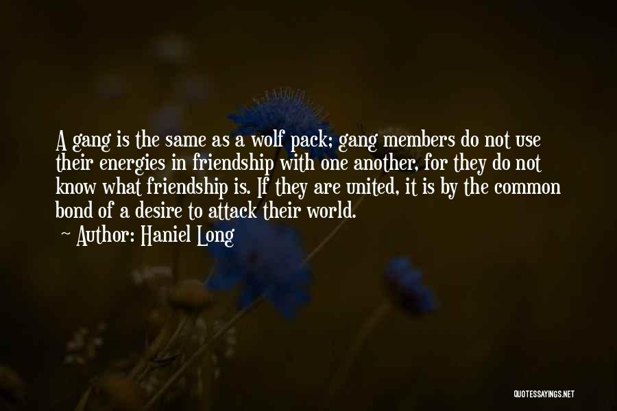 Haniel Long Quotes: A Gang Is The Same As A Wolf Pack; Gang Members Do Not Use Their Energies In Friendship With One