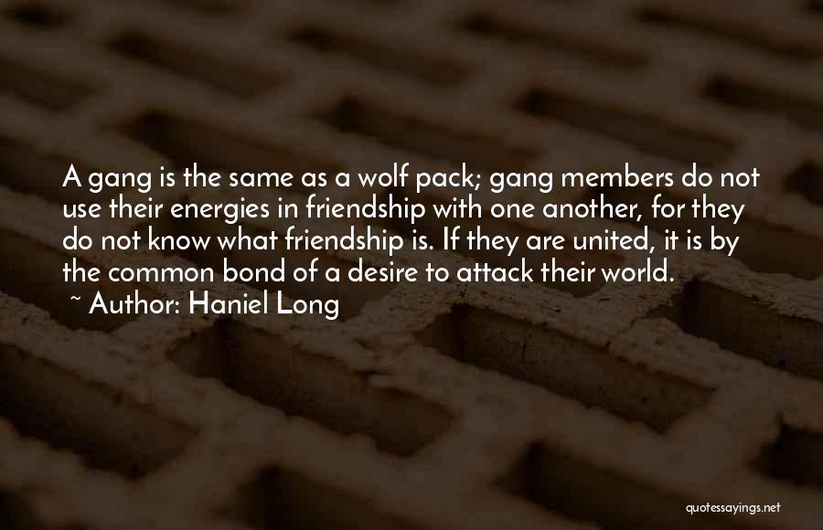 Haniel Long Quotes: A Gang Is The Same As A Wolf Pack; Gang Members Do Not Use Their Energies In Friendship With One