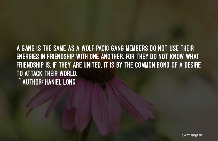 Haniel Long Quotes: A Gang Is The Same As A Wolf Pack; Gang Members Do Not Use Their Energies In Friendship With One