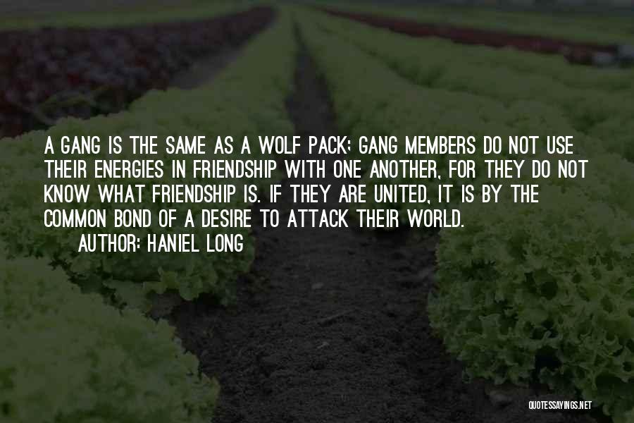 Haniel Long Quotes: A Gang Is The Same As A Wolf Pack; Gang Members Do Not Use Their Energies In Friendship With One