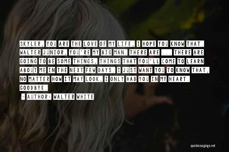 Walter White Quotes: Skyler, You Are The Love Of My Life, I Hope You Know That. Walter Junior, You're My Big Man. There