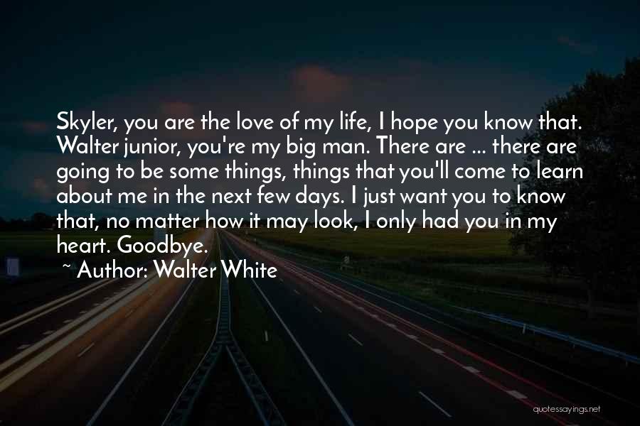 Walter White Quotes: Skyler, You Are The Love Of My Life, I Hope You Know That. Walter Junior, You're My Big Man. There